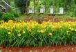 Tips Menghias Taman Depan Rumah supaya Terlihat Cantik