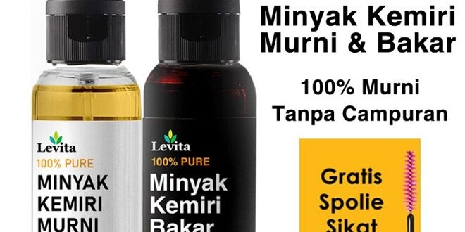 Harga Minyak Kemiri Di Indomaret